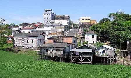 Brsil  Manaus Amazonie 