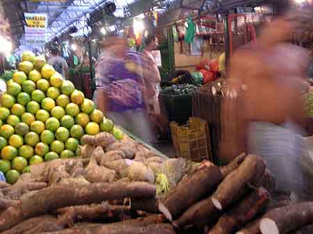 Brsil  Manaus Amazonie 