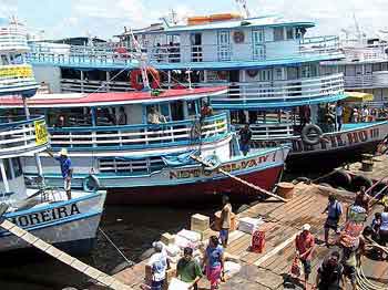 Brsil  Manaus Amazonie 