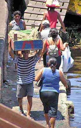 Brsil  Manaus Amazonie 