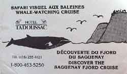Tadoussac croisiere aux baleines Quebec 