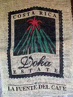 Costa Rica,  La culture du café