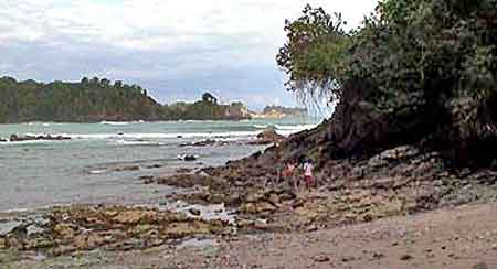 Costa Rica, parc national   Manuel Antonio 