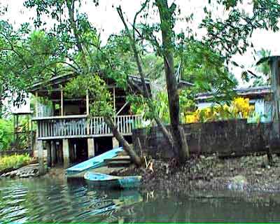 Costa Rica,  La mangrove 