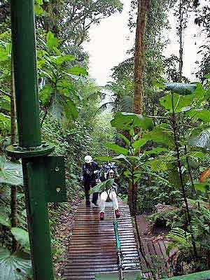 Costa Rica, La forêt plusviale de Monteverde 