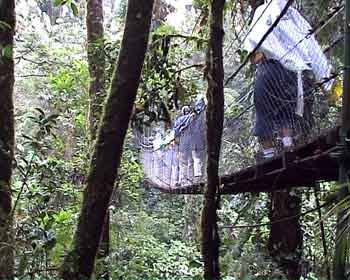 Costa Rica,La forêt plusviale de Monteverde  