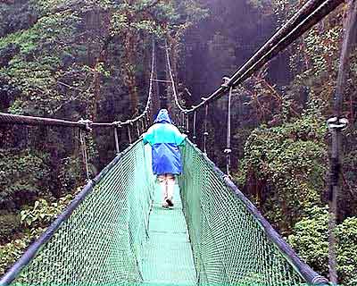 Costa Rica, La forêt plusviale de Monteverde 