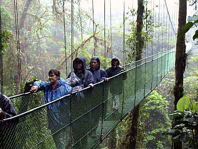 Costa Rica, La forêt plusviale de Monteverde 