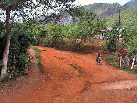 Cuba, vallée de Vinales 