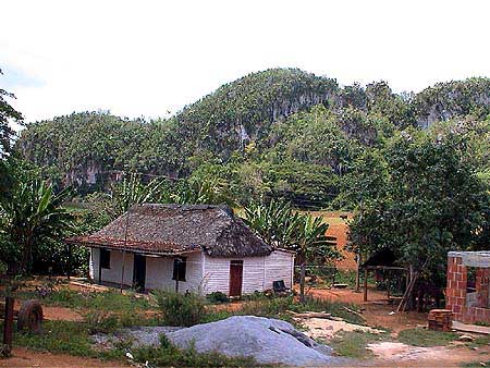 Cuba, vallée de Vinales 