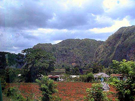 Cuba, vallée de Vinales 