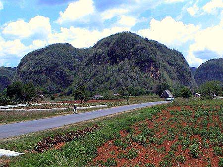 Cuba, vallée de Vinales 