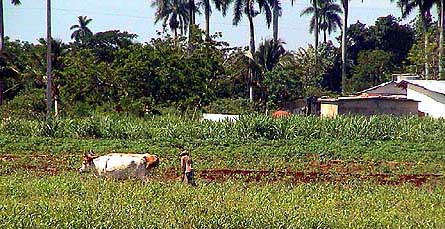 Cuba, La vallée de Saint Louis  