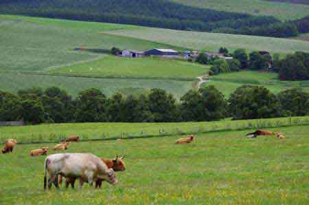 vallée de la Spey - berceau du Whisky écossais Single malt 