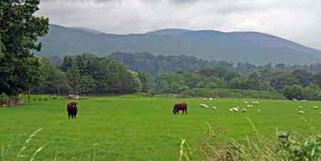 Ecosse paysage des Borders