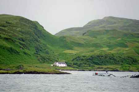 Mull island Highlands Ecosse