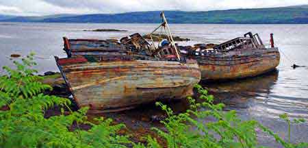 Mull island Highlands Ecosse