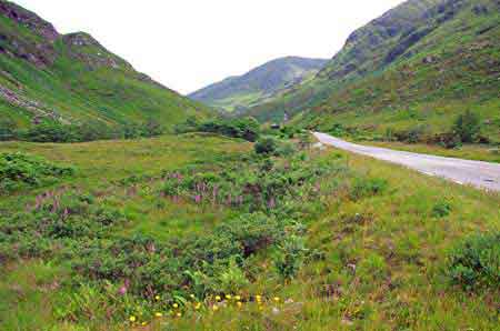 Ecosse : paysages des Highlands