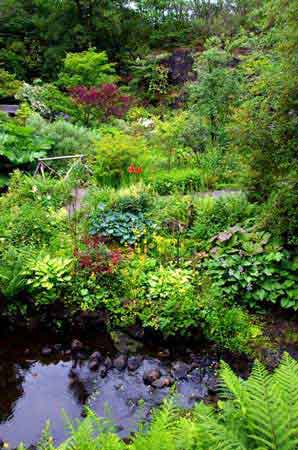 Highlands d' Ecosse  jardin Dunvegan Castle ile de Skye 