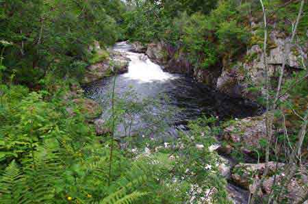 Ecosse les highlands les chutes de la rivière Shin Falls of Shin