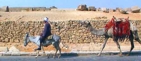 Egypte Pyramides caravane 2