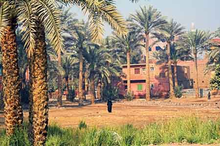 oasis en Egypte