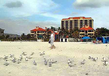 Marco Island Floride Everglades