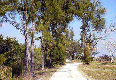 Everglades  Floride