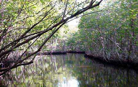 Everglades City  Floride