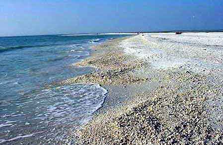 Marco Island Floride Everglades