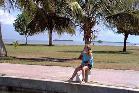 Everglades  Floride