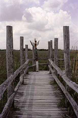 Everglades  Floride