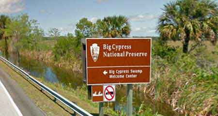 big cypress  bend