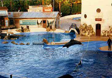 Seaworld orlando Floride