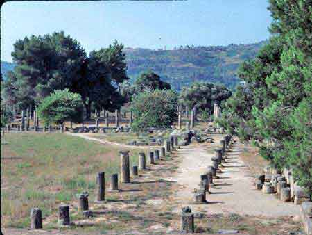 Olympie  Péloponnèse  Greece Grèce