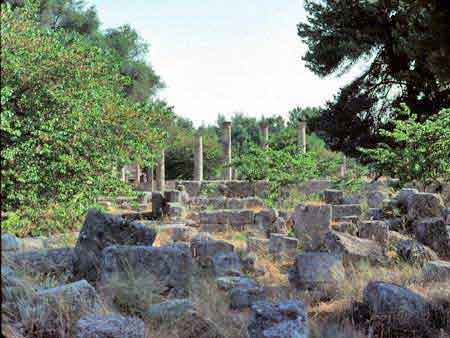 Olympie  Péloponnèse  Greece Grèce