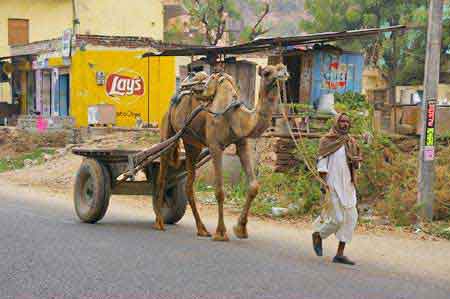 Inde Radjasthan  Jaipur