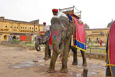 Inde Radjasthan  Jaipur fort d'Amber