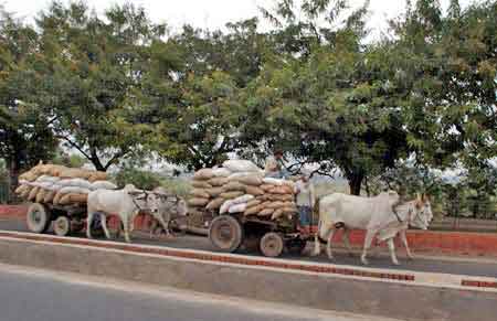 Agra ville circulation train