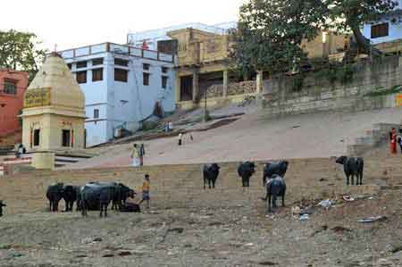 Inde Varanasi Benars