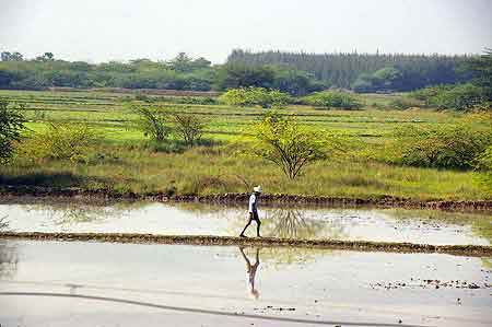 Inde Tamil Nadu de Trichy à Tanjore