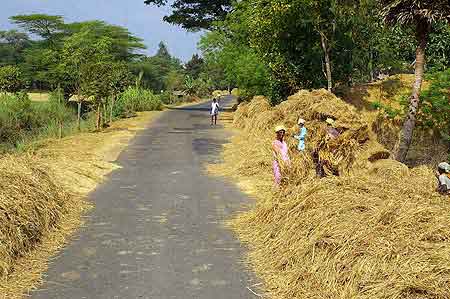 Inde Tamil Nadu de Trichy à Tanjore