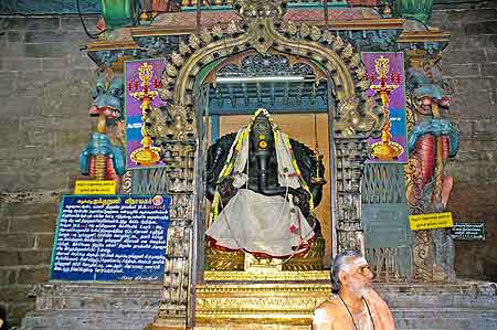 Inde Tamil Nadu temple deSri Meenakshi  Madurai