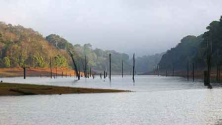 Inde parc national de Periyar 