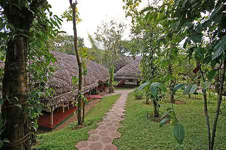 Inde parc national de Periyar 