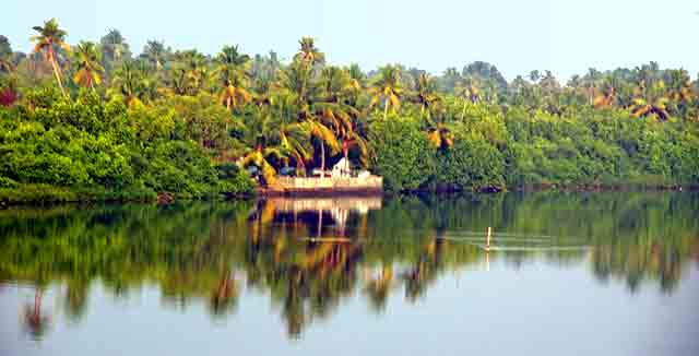 Inde Kerala les backwaters