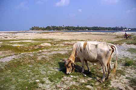 Inde Kerala Trivandrum