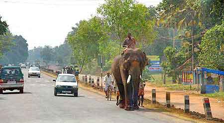 Inde Kerala Trivandrum