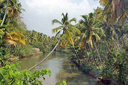 Inde Kerala les backwaters