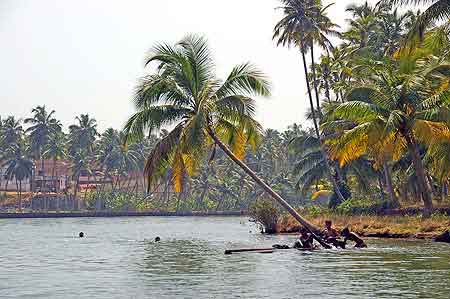 Inde Kerala les backwaters